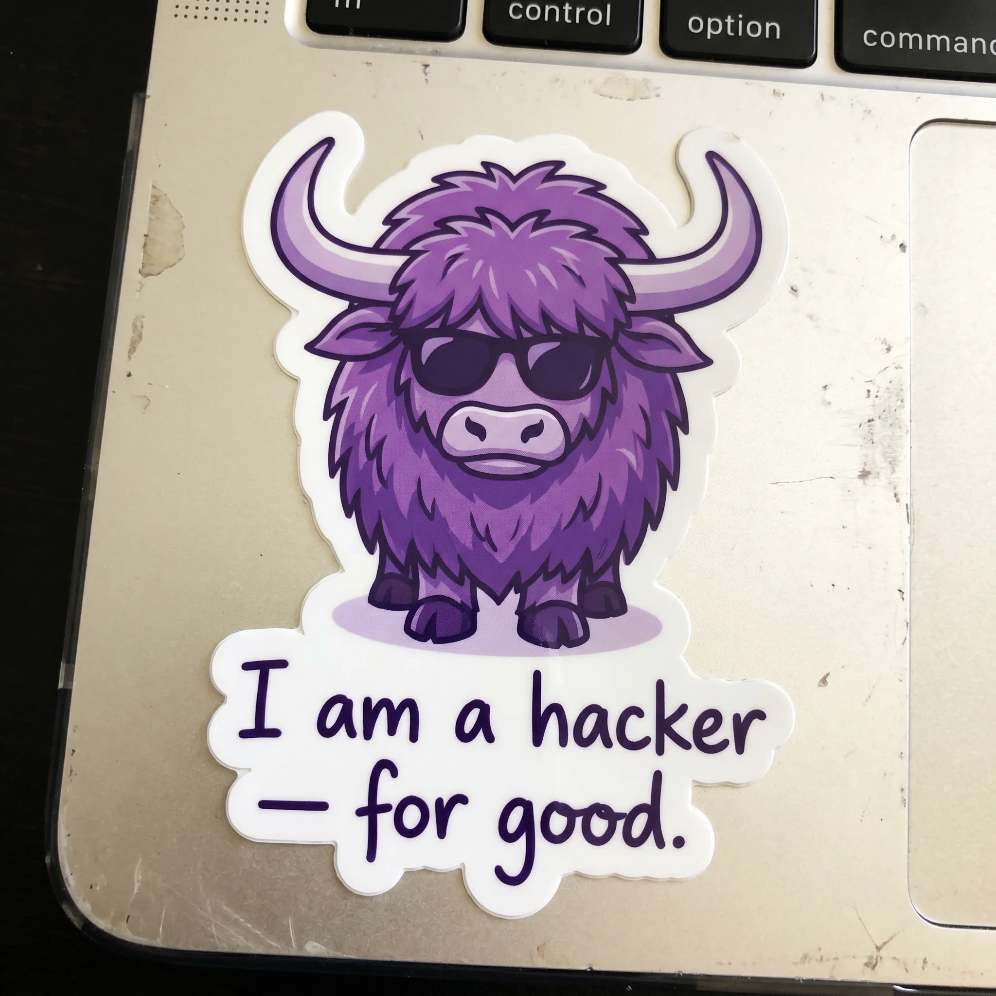 hacker for good